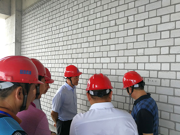 專家與企業(yè)有關(guān)負責人在項目現(xiàn)場交流